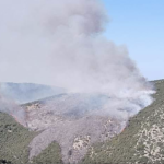 Πυρκαγιά σε δασική έκταση στην Αγία Παρασκευή Πετρωτού Αχαΐας